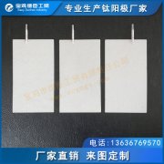 離子/電解水機用鈦陽極 釕銥電極 鉑電極