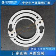 廠家直銷 制氫鉑電極 富氫水杯鉑電極 釕銥鈦電極