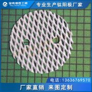 制氫 0.5-2.0微米鉑電極 富氫水杯鉑電極 可定做