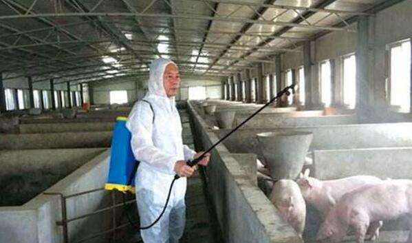 微酸性消毒水機(jī)(圖3)